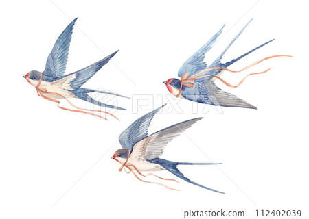 Stock illustration with watercolor hand drawn swallow martin birds. Clip art. 112402039