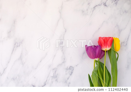 Assorted tulips on a white marble background with copy space. 112402440