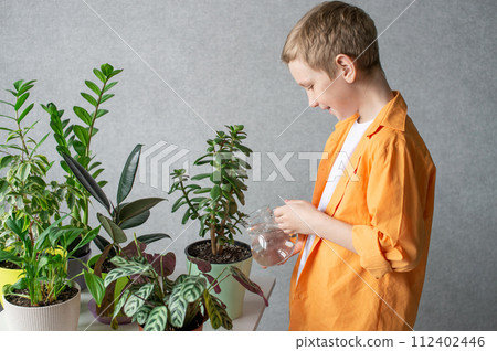 A cute boy in a shirt is studying indoor green plants, caring for flowers. Jug of water A cute boy in a shirt is studying indoor green plants, caring for flowers. Jug of water 112402446