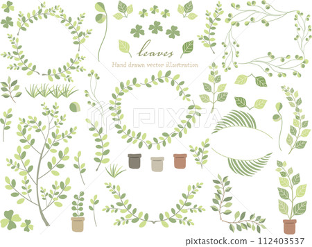 時尚植物插畫素材 112403537