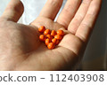Isotretinoin 112403908
