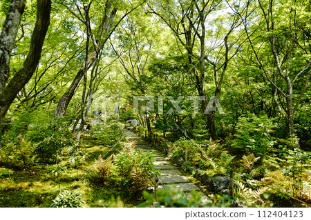 Garden of treasure housing Garden of treasure housing 112404123