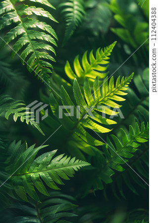AI-generated content. A close up of a terrestrial plant, the fern, with the sun shining through its evergreen leaves. This organism is a groundcover commonly found in natural landscapes 112404388