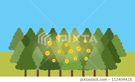 雪松花粉幾乎沒有飛散的風景 雪松花粉幾乎沒有飛散的風景 112404428