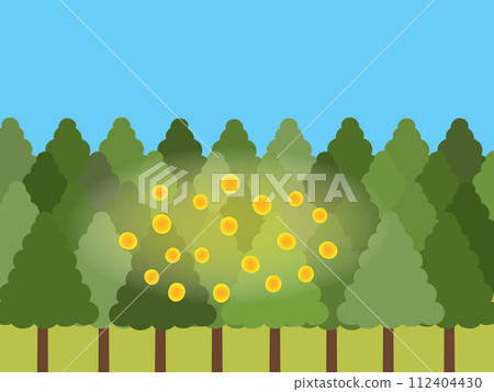 Scenery of cedar pollen with a rather large amount of scattering 112404430