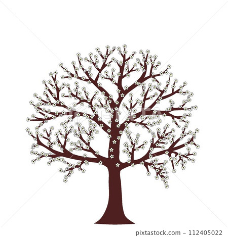Illustration of a plum tree 112405022