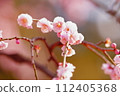 Expressing macro artistry 112405368