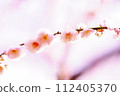 macro artistry 112405370