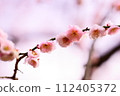 petals strung together 112405372
