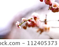 macro artistry 112405373