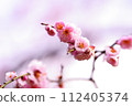 Expressing macro artistry 112405374
