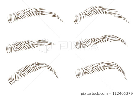 Brows set vector illustration design. Different shapes and types. Various eyebrow collection. Brows set vector illustration design. Different shapes and types. Various eyebrow collection. 112405379