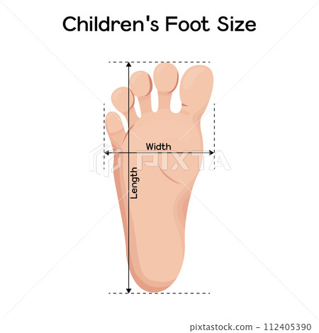 Foot size measurements for children vector illustration design. Footstep length and width metric Foot size measurements for children vector illustration design. Footstep length and width metric 112405390