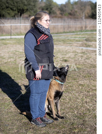 obedience training with a malinois obedience training with a malinois 112405413