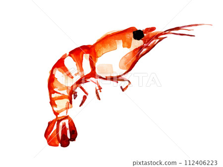 Japanese style hand-drawn illustration of jumping shrimp 112406223