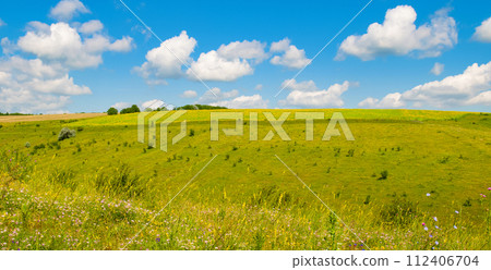Hilly field, meadow, pasture and blue sky. Wide photo. 112406704