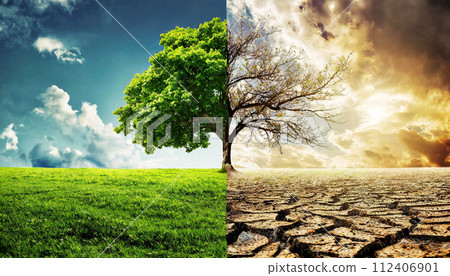 Global Warming Concept - Half Bare and Half Green Tree - Generative Ai 112406901