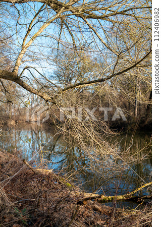 Twigs of a tree and Dyje river, Lednice, Czechia Twigs of a tree and Dyje river, Lednice, Czechia 112406982