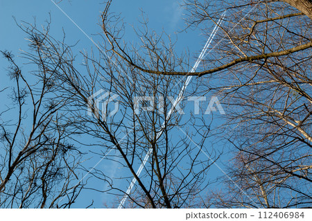 Winter tree and a blue sky, Czechia Winter tree and a blue sky, Czechia 112406984