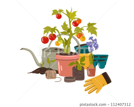 Garden composition for growing in the garden. 112407312