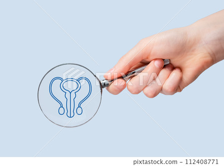 Male reproductive system anatomy, study through magnifying glass 112408771