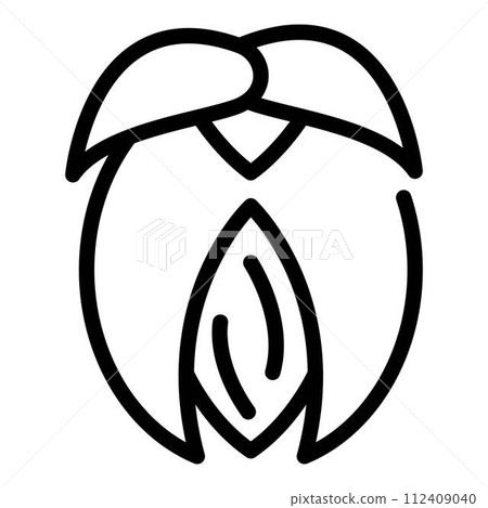 Jojoba nut icon. Outline jojoba nut vector icon for web design isolated on white background Jojoba nut icon. Outline jojoba nut vector icon for web design isolated on white background 112409040
