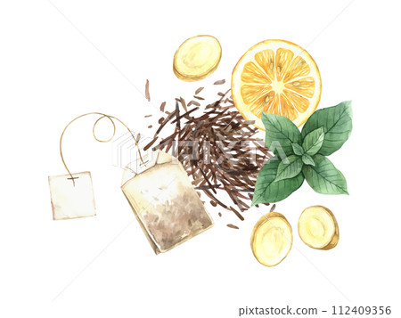 Watercolor tea composition of dry tea, mint, tea bag, ginger and lemon wedge. Illustration hand drawn on isolated background, suitable for menu design, packaging, poster, website, textile, invitation. 112409356