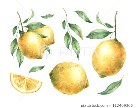 Watercolor set with juicy ripe lemons and leaves. Illustration is hand drawn, suitable for menu design, packaging, poster, website, textile, invitation, brochure, cards, decor. Watercolor set with juicy ripe lemons and leaves. Illustration is hand drawn, suitable for menu design, packaging, poster, website, textile, invitation, brochure, cards, decor. 112409366