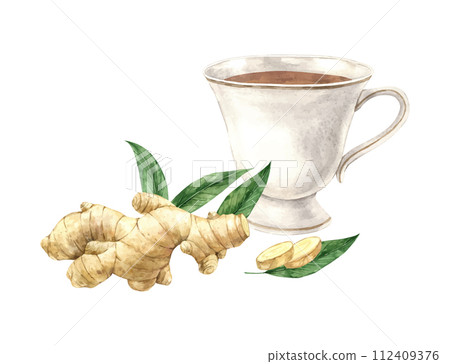 Watercolor composition with a mug of tea and natural ginger. Illustration is hand drawn, suitable for menu design, packaging, poster, website, textile, invitation, brochure, textile. 112409376