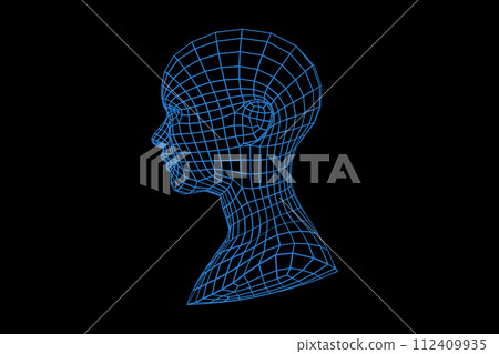 Mesh of a woman face in 3D 112409935