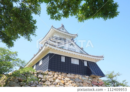 濱松城矗立在晴朗的天空和新鮮的綠樹之中 112409953
