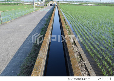 Farm roads and agricultural waterways Rural scenery 112410021