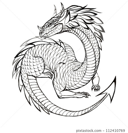 A linear drawing of a dragon. A black and white drawing of a fantasy dragon without wings. A linear drawing of a dragon. A black and white drawing of a fantasy dragon without wings. 112410769