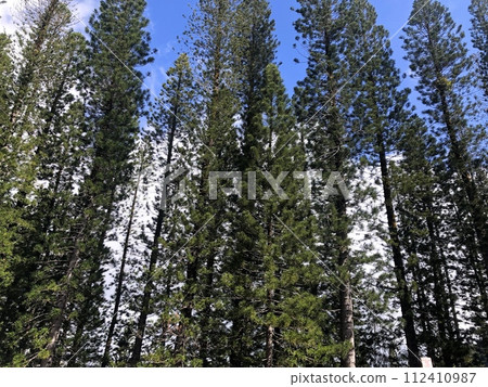 [Hawaii] Waahila.Ridge State Recreation Area Hiking Course 112410987