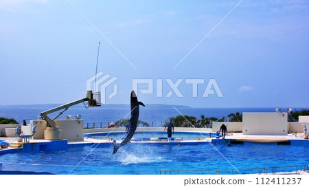Okinawa Churaumi Aquarium Dolphin Show Okichan Theater 112411237
