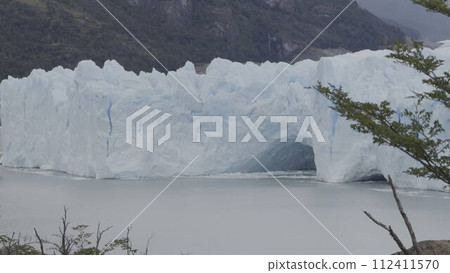 Perito Moreno Glacier Ice Tunnel and Tree Swaying in Wind 112411570