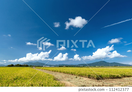 [新潟縣] 越後平原和彌彥山、角田山的稻田。金色的越後鄉村的秋天。正在收割的稻穗 112412377