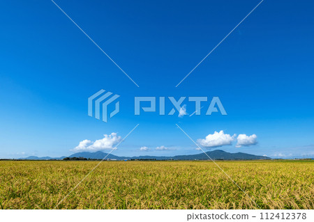 [Niigata Prefecture] Rice fields in the Echigo Plain and Mt. Yahiko and Mt. Kakuda. Autumn in the golden Echigo countryside 112412378