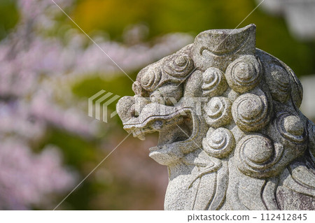 小川諏訪神社的垂枝櫻花 小川諏訪神社的垂枝櫻花 112412845