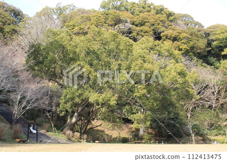 Takanabe Town Akizuki Domain Residence Ruins 112413475
