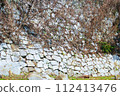 Takanabe Akizuki clan wall ruins in winter 112413476