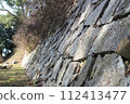 Close-up image of the castle wall ruins of Takanabe Akizuki domain in winter 112413477