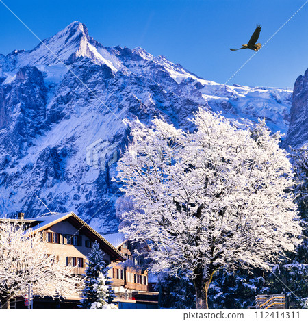 格林德瓦仲冬時節的白霜景觀 格林德瓦仲冬時節的白霜景觀 112414311