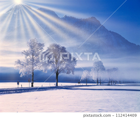 嚴冬期間巴伐利亞地區的雪景 嚴冬期間巴伐利亞地區的雪景 112414409