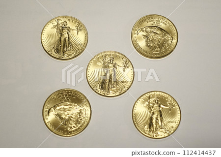 五枚鷹金幣 五枚鷹金幣 112414437