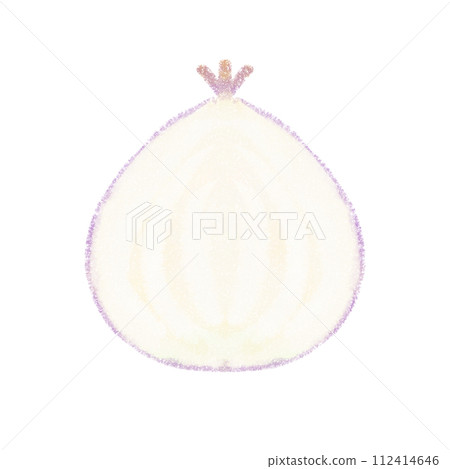 可愛的紫洋蔥圖橫截面 可愛的紫洋蔥圖橫截面 112414646