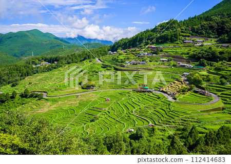 Maruyama Senmaida rice field after rice planting Maruyama Senmaida rice field after rice planting 112414683