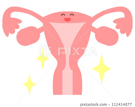 健康子宮的圖像圖 健康子宮的圖像圖 112414877