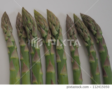 綠蘆筍（幾片，白色背景） 112415050
