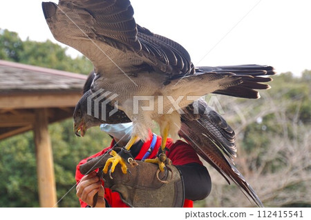 Wasinothri 112415541